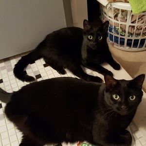 Meet your Posher, Doreen